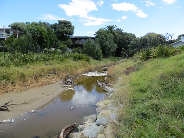 Wainui Stream