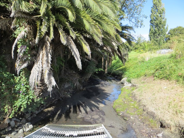 Kopuawhakapata