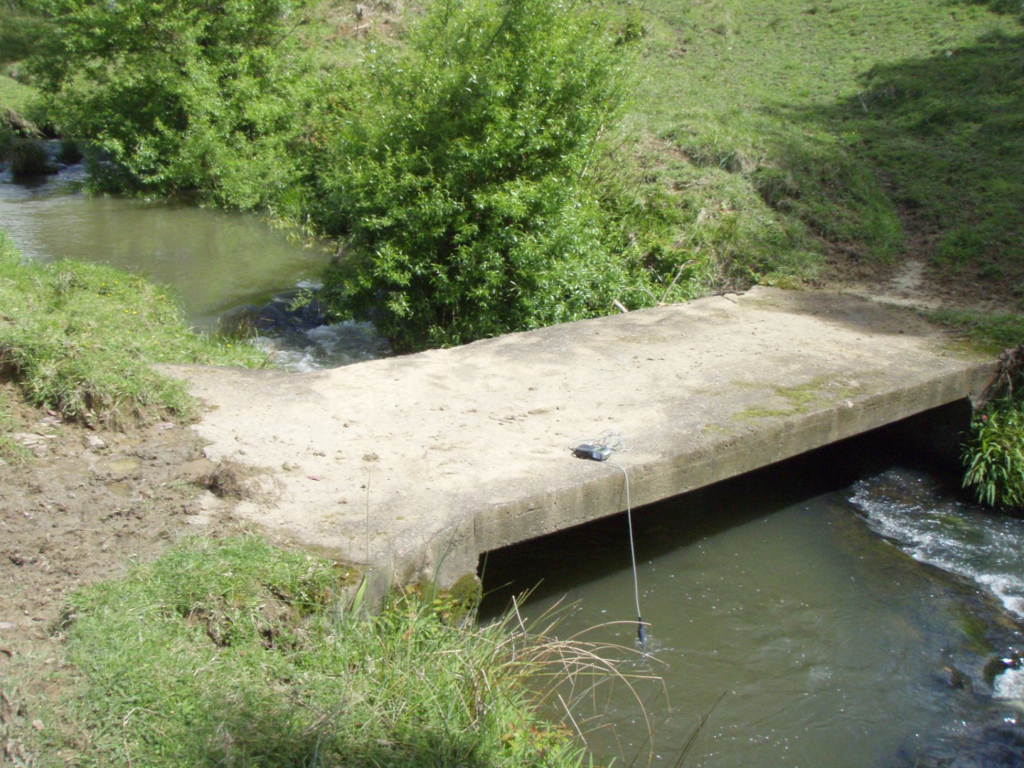 Waiwera Stream
