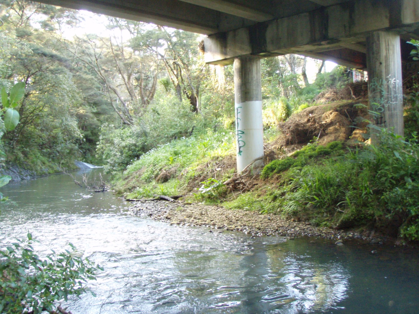 Opanuku Stream