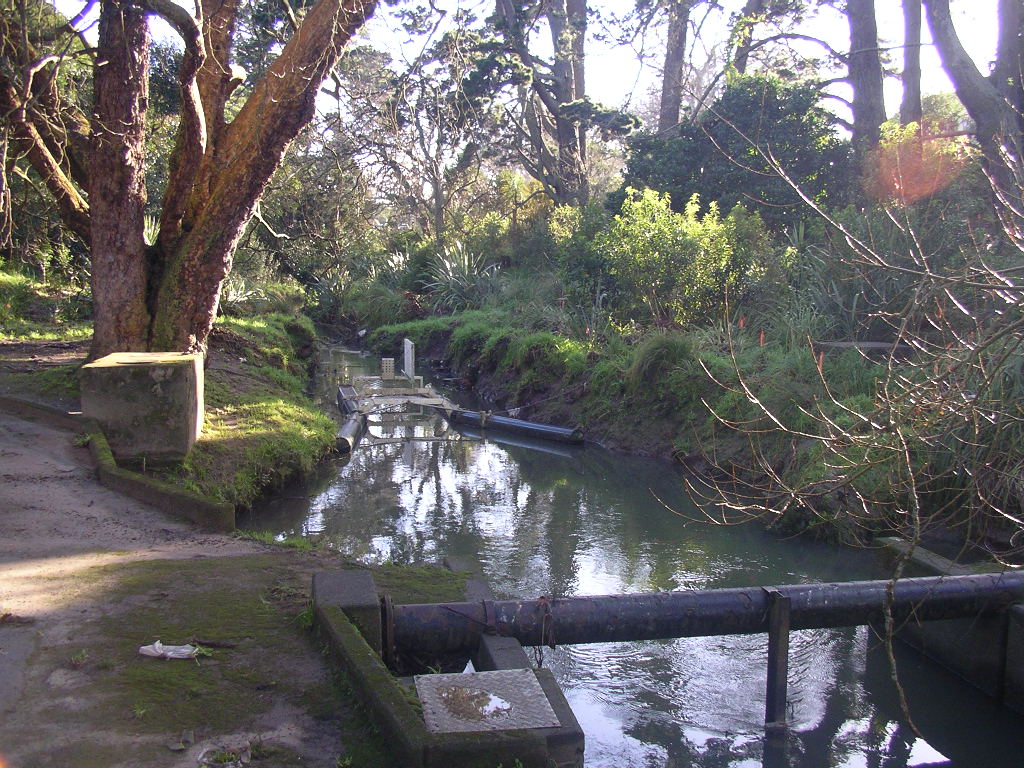 Oakley Creek 