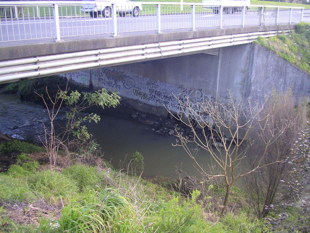 Ōtara Creek 