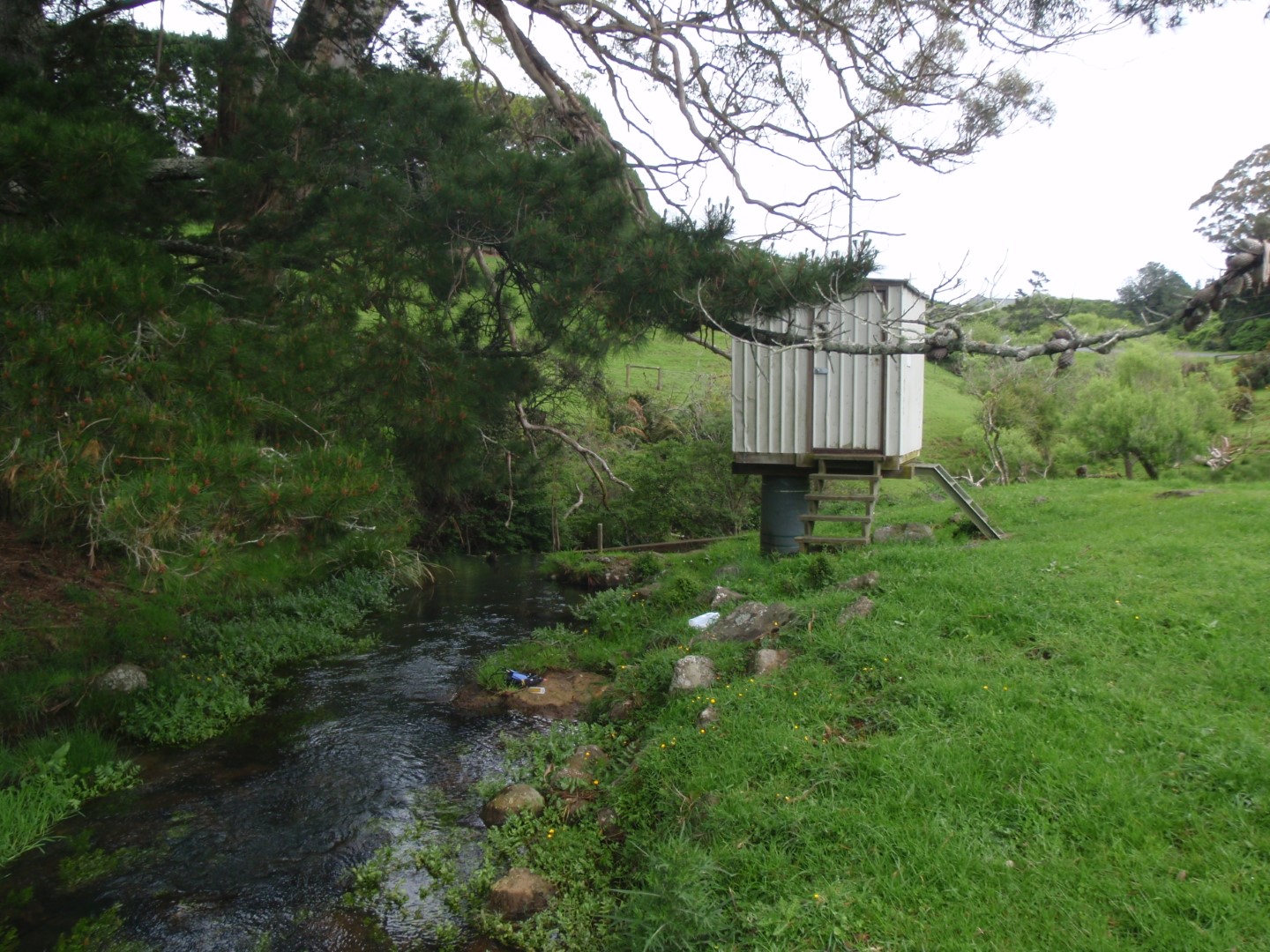 Ngakoroa Stream