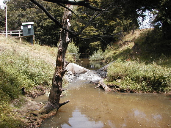 Kaukapakapa River