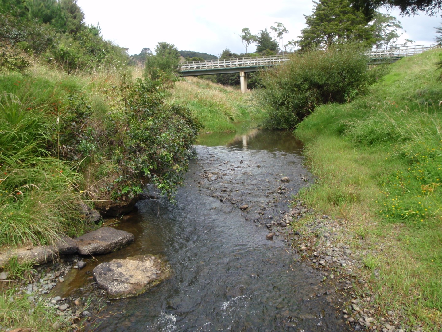 Makarau River
