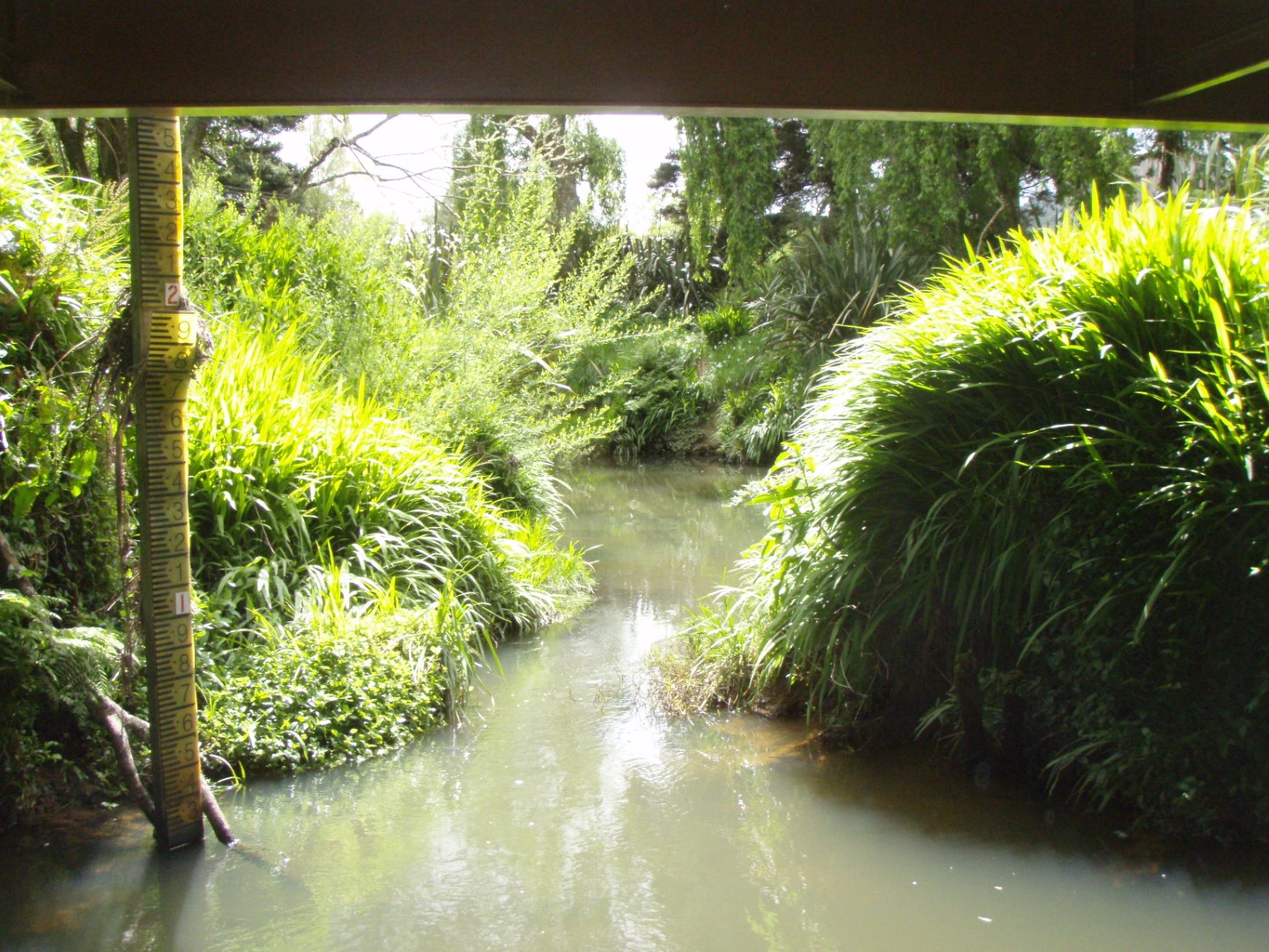Matakana River