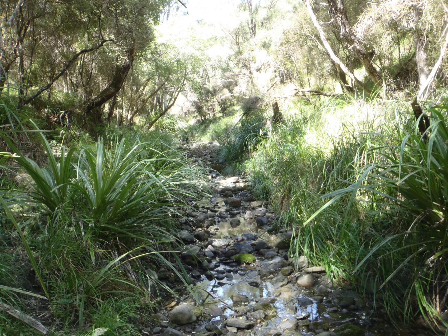 Oterei River