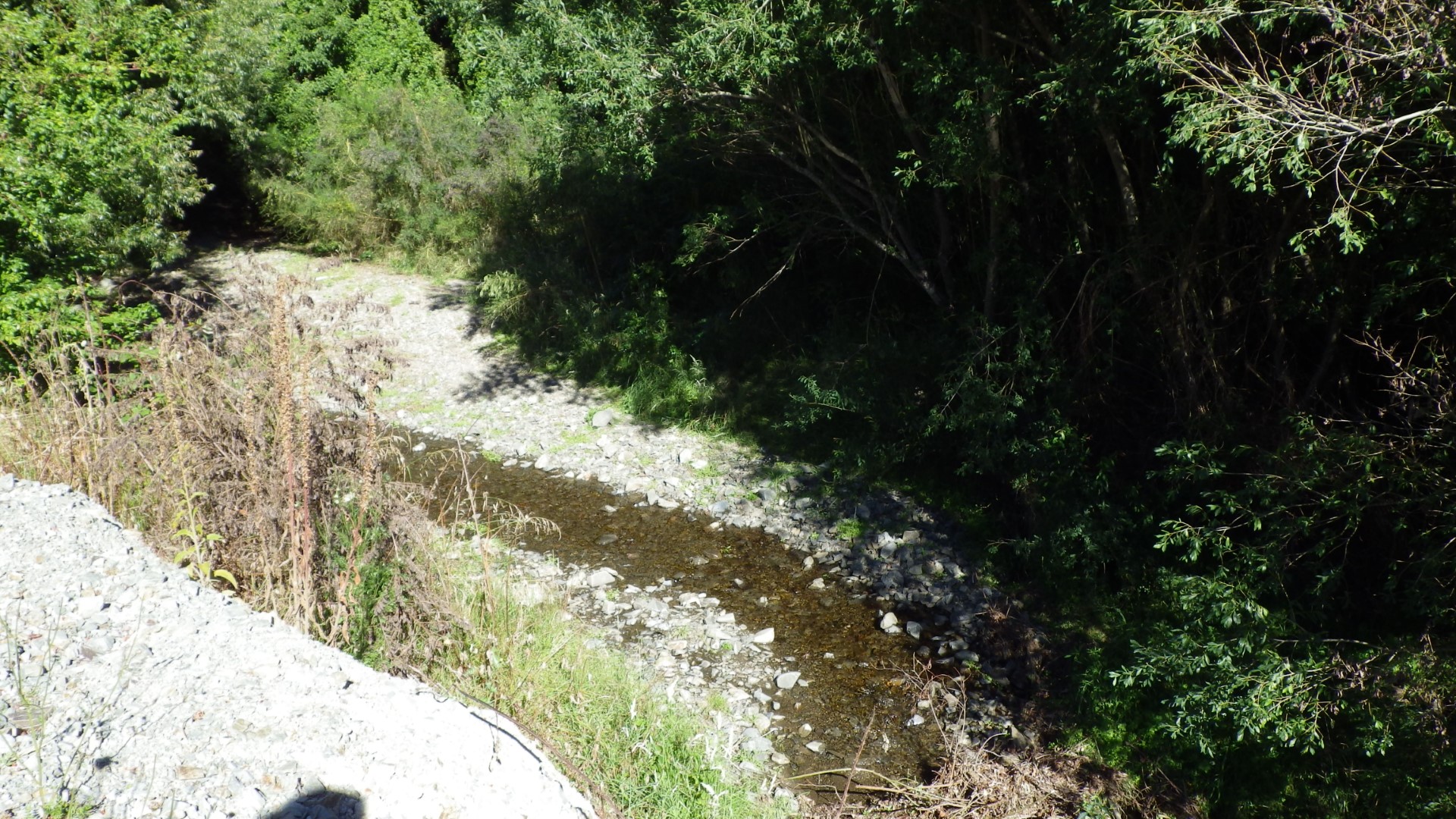 Okarahia Stream