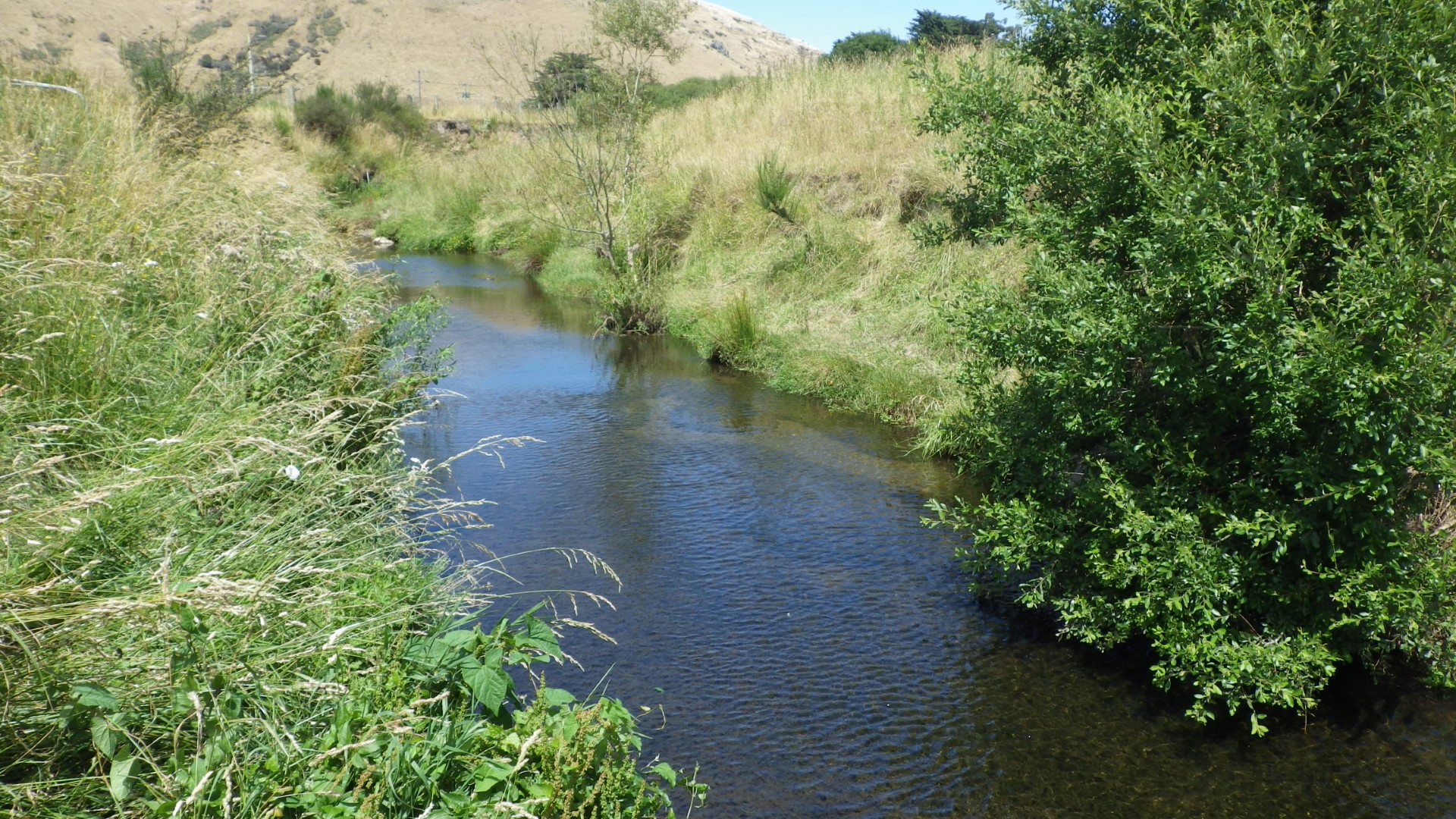 Kaituna River