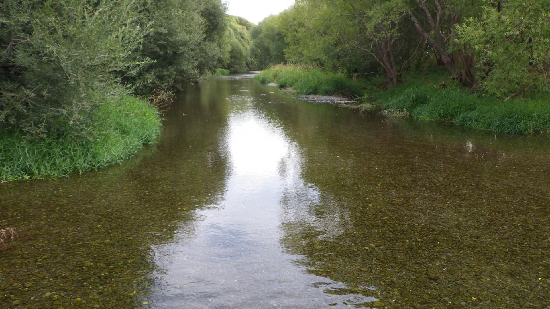 Selwyn River