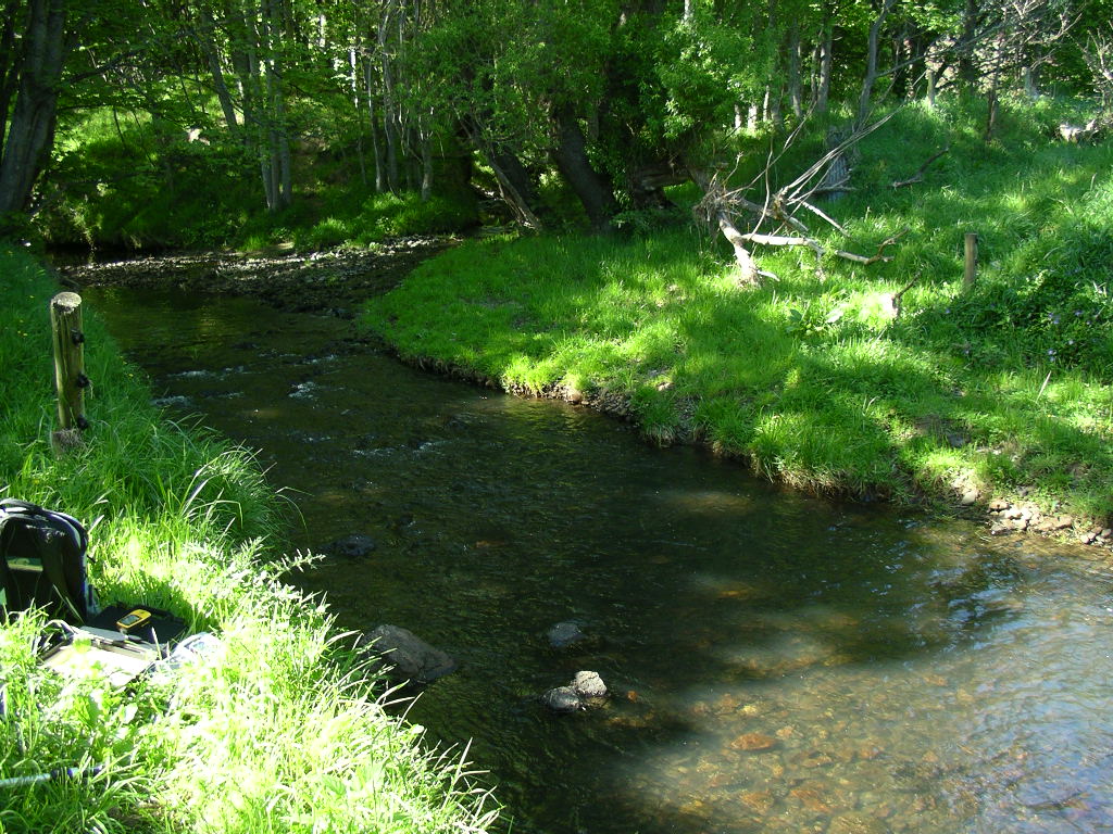 Okuti and Okana Streams