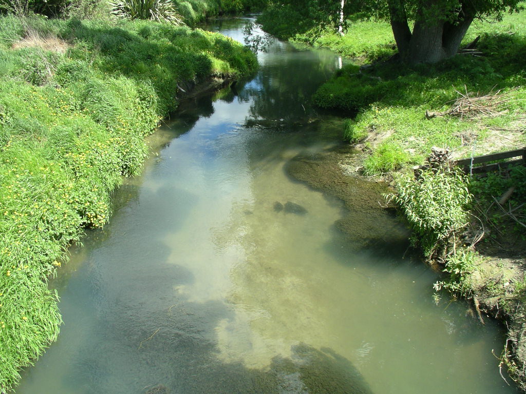 Saltwater Creek