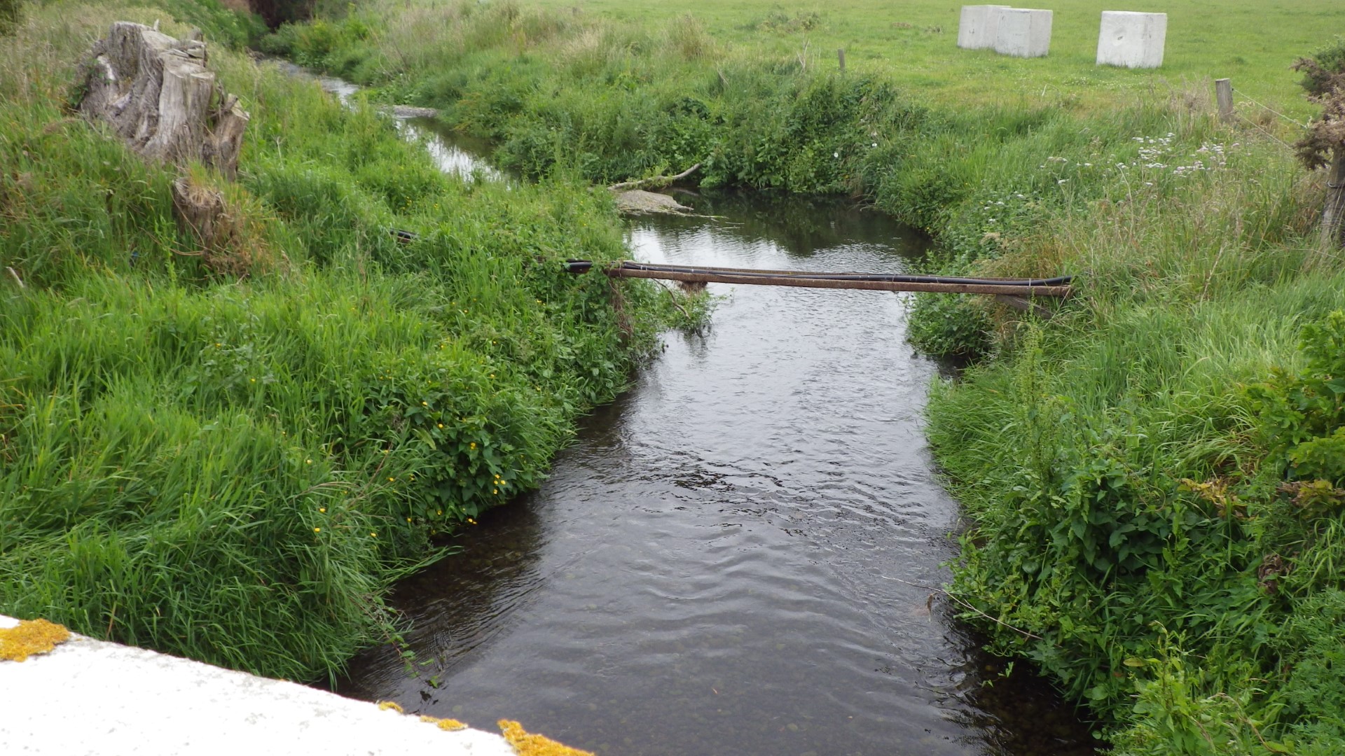Southern Ellesmere Streams