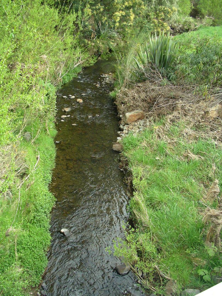 Takamatua Stream