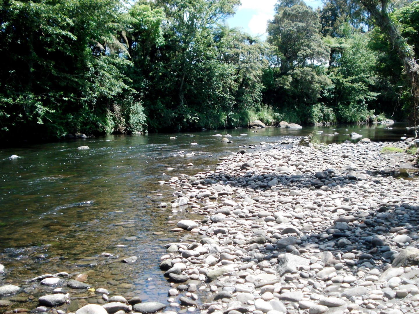 Patea River