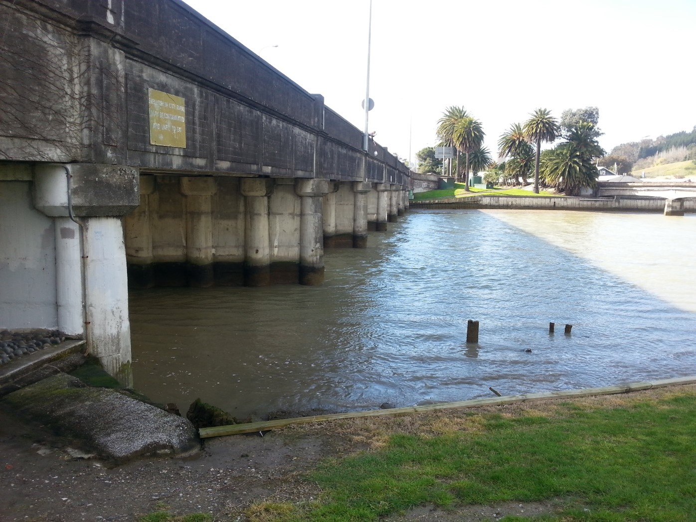 Turanganui River