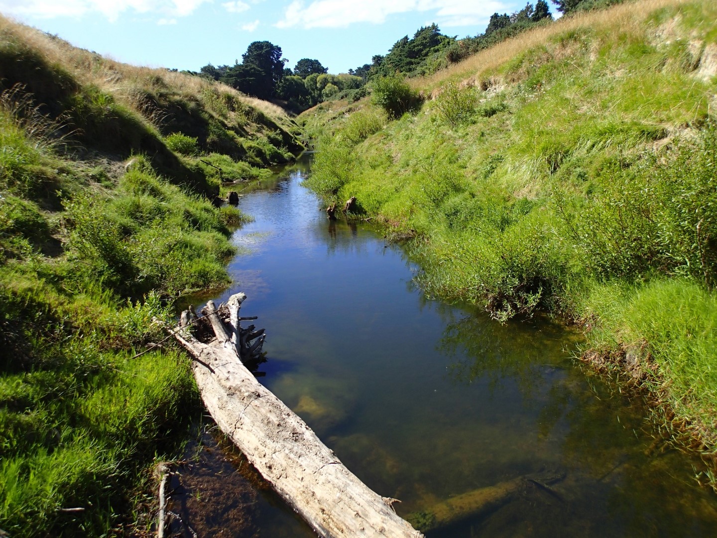 Whareama River