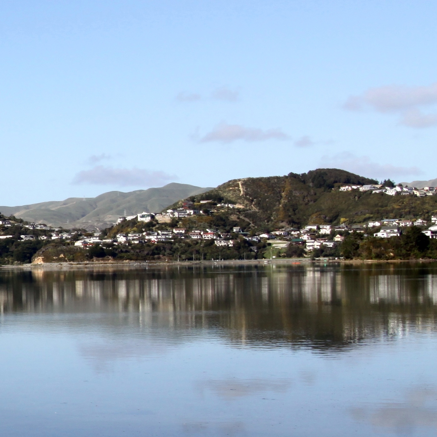Wellington Region