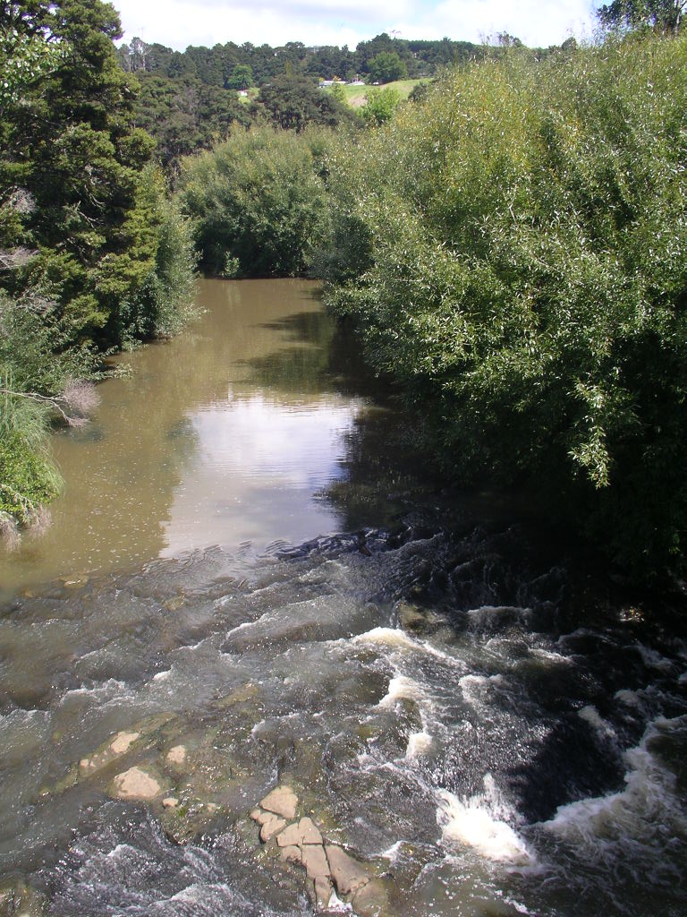 Mahurangi River