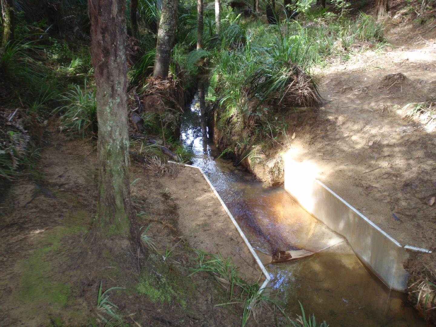West Hoe Stream