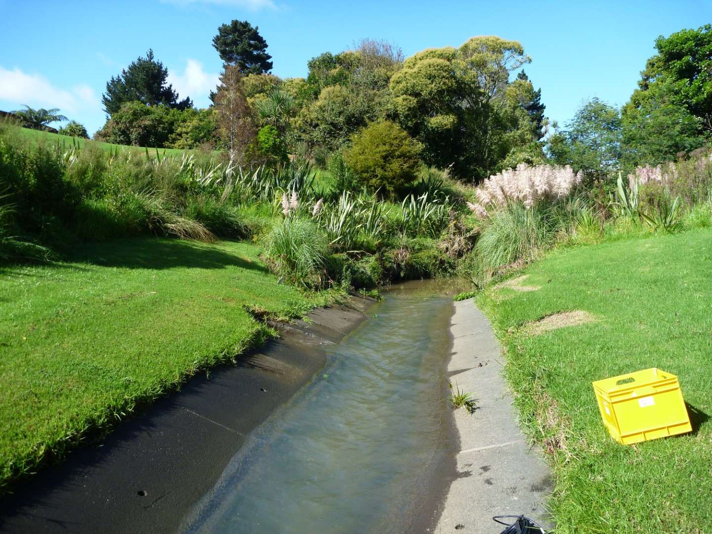 Pakuranga Creek