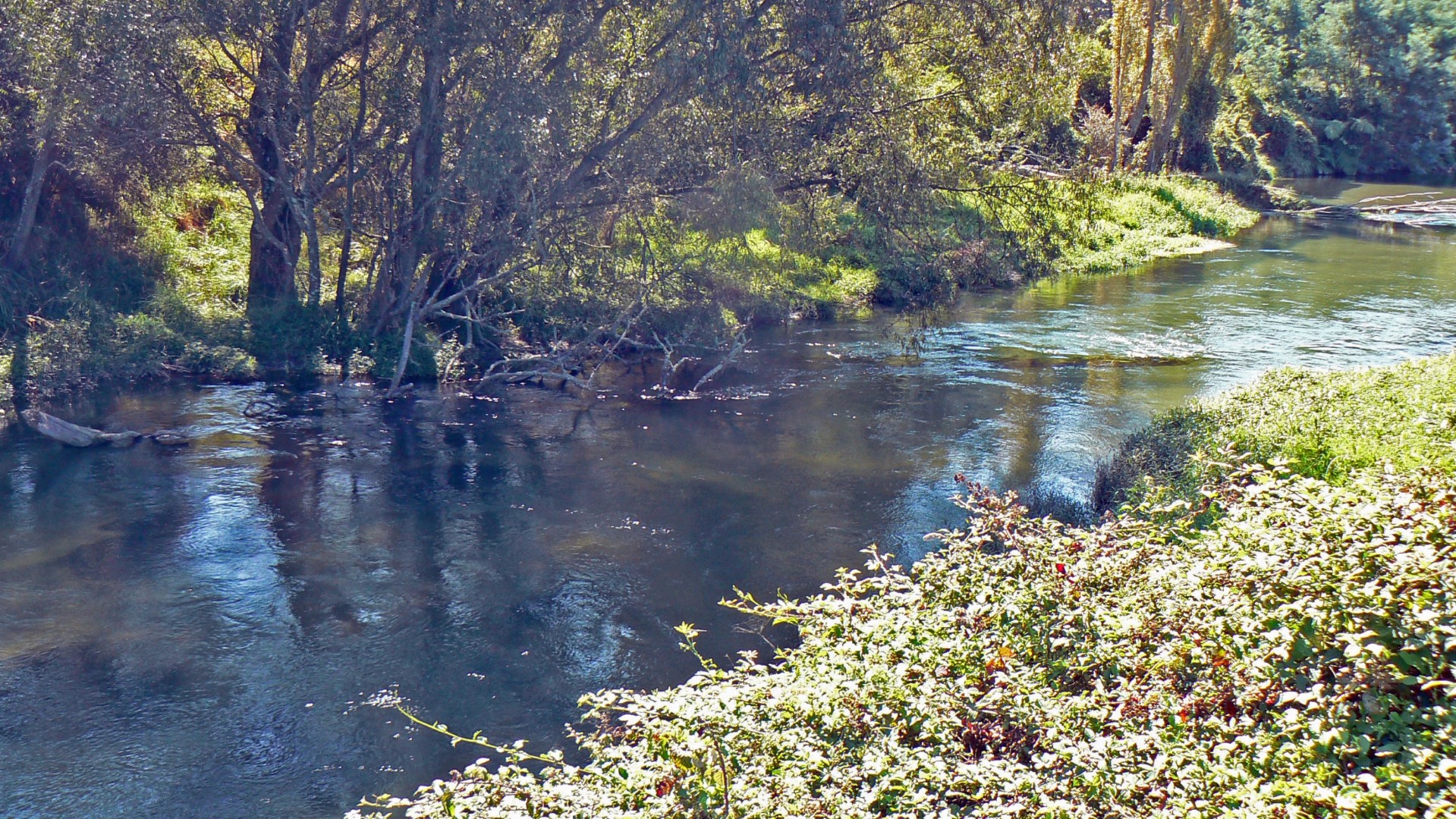 Waitahanui