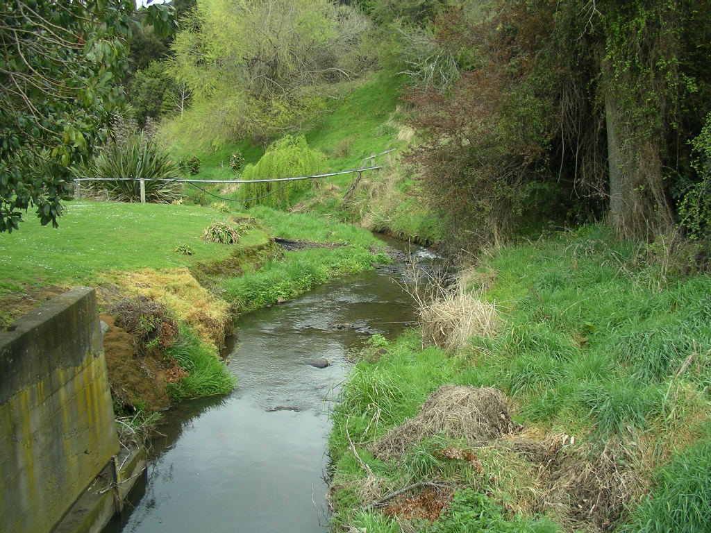 Barry's Bay Stream