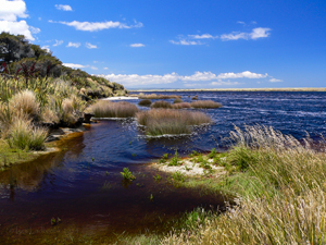 Waituna Creek
