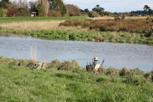 Waihopai Stream