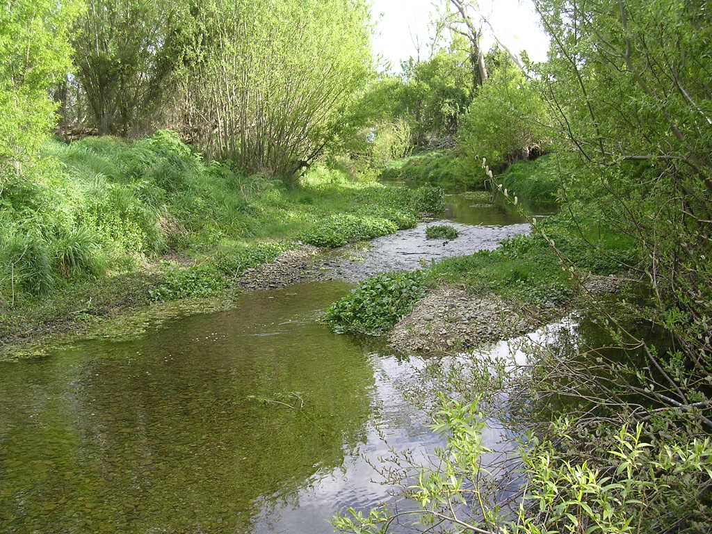 Hook River