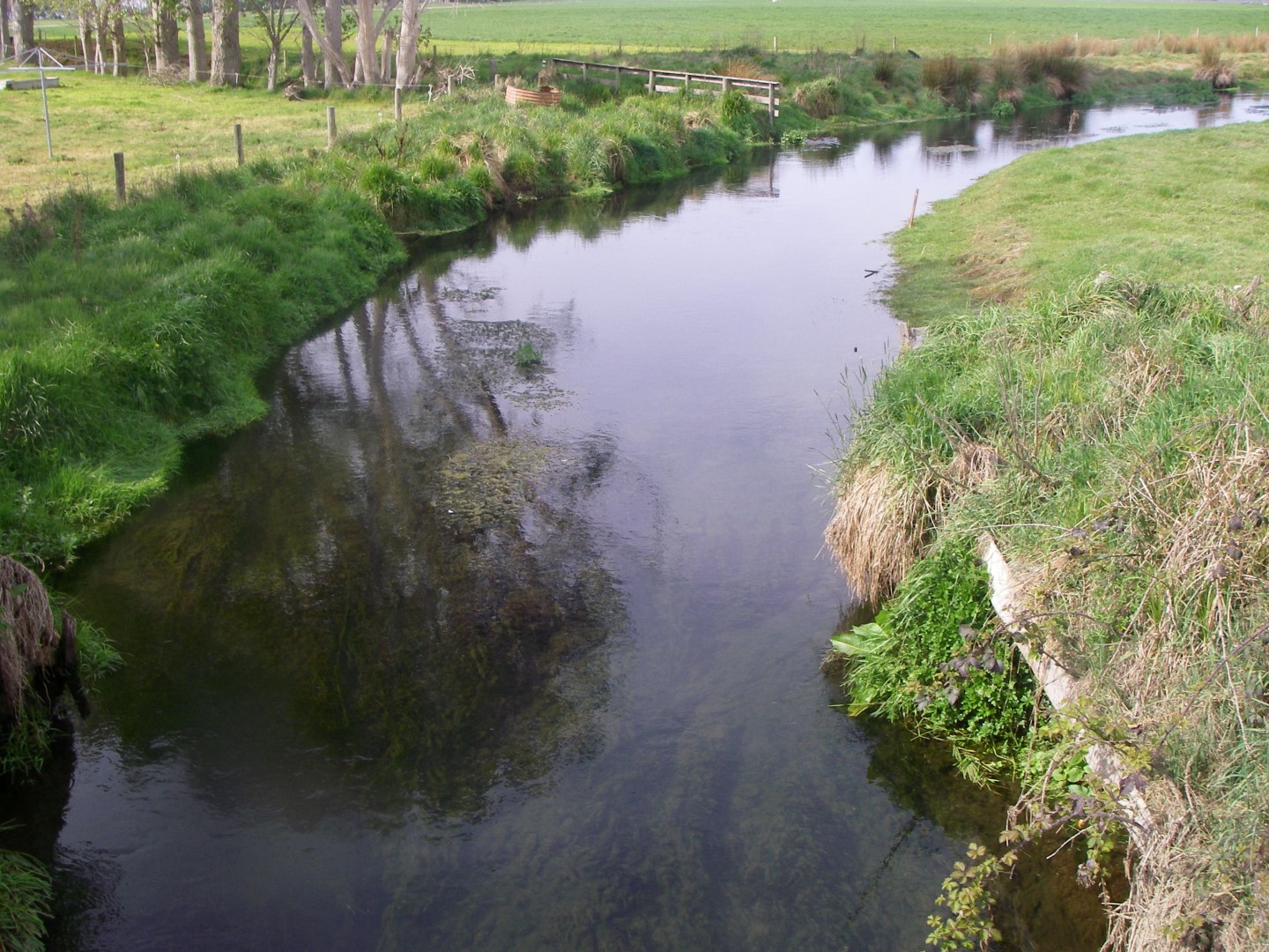 Waimate Creek