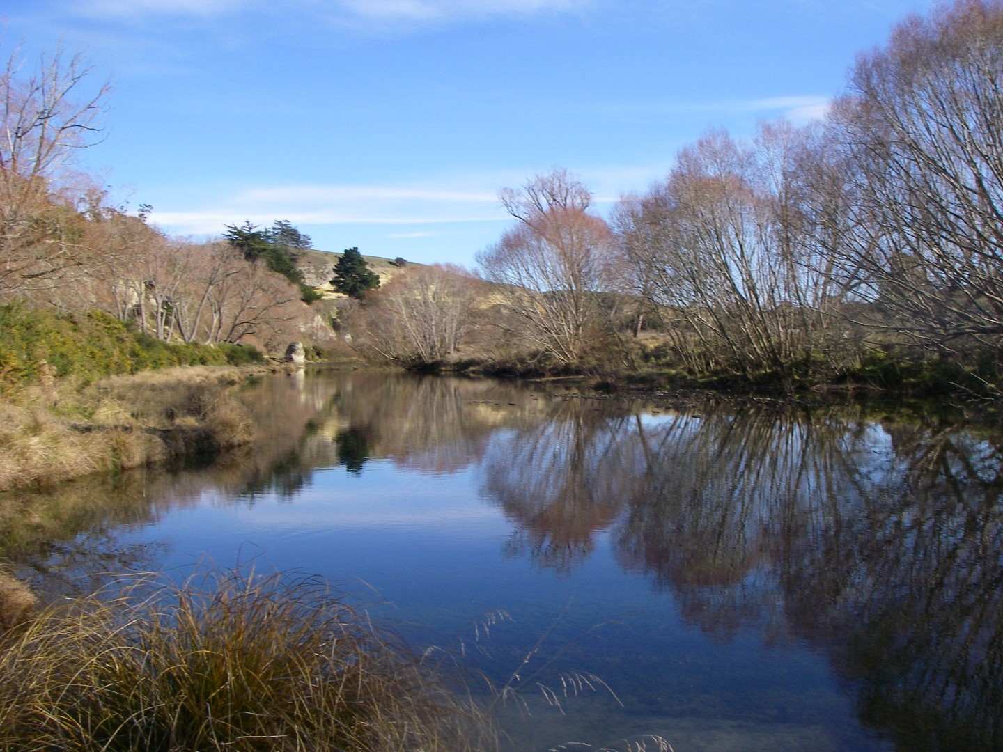 Waihao River