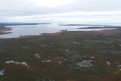 Mokotua Stream