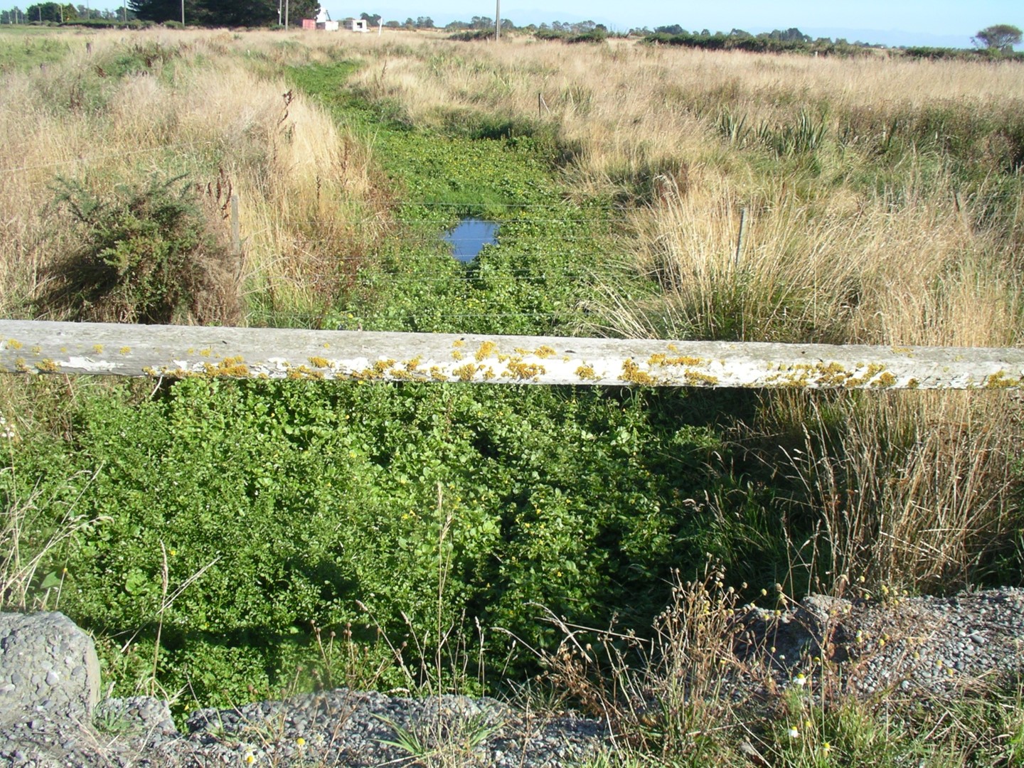 Waikekewai Creek
