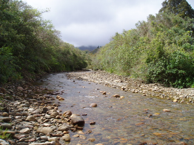 Orowaiti River