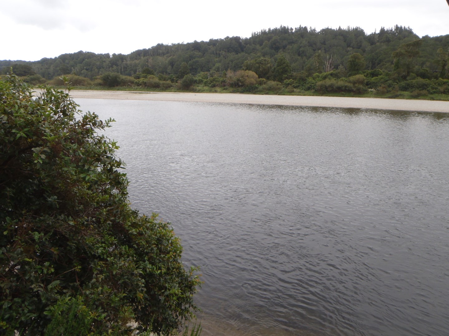 Grey River