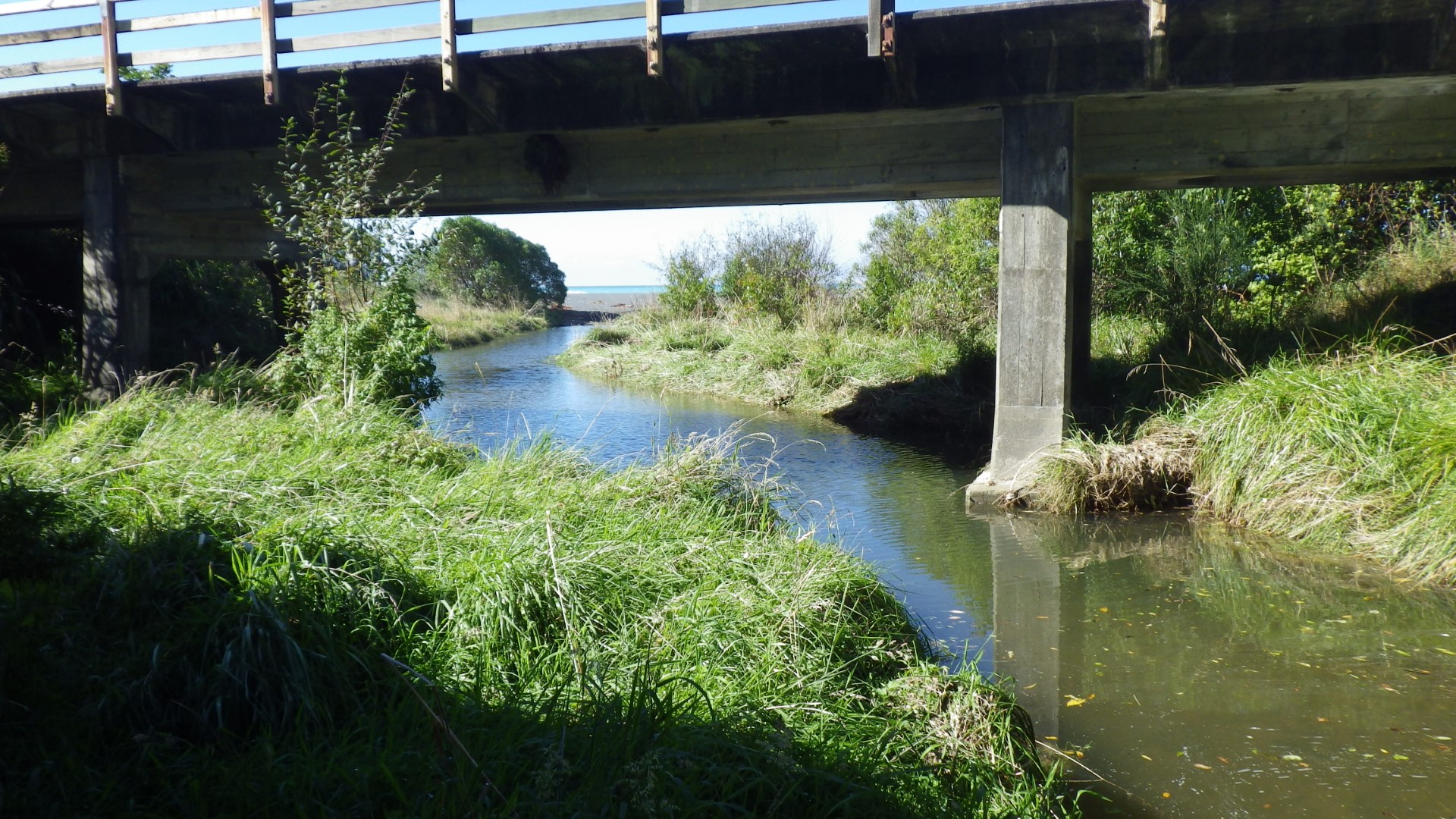 Blue Duck Creek