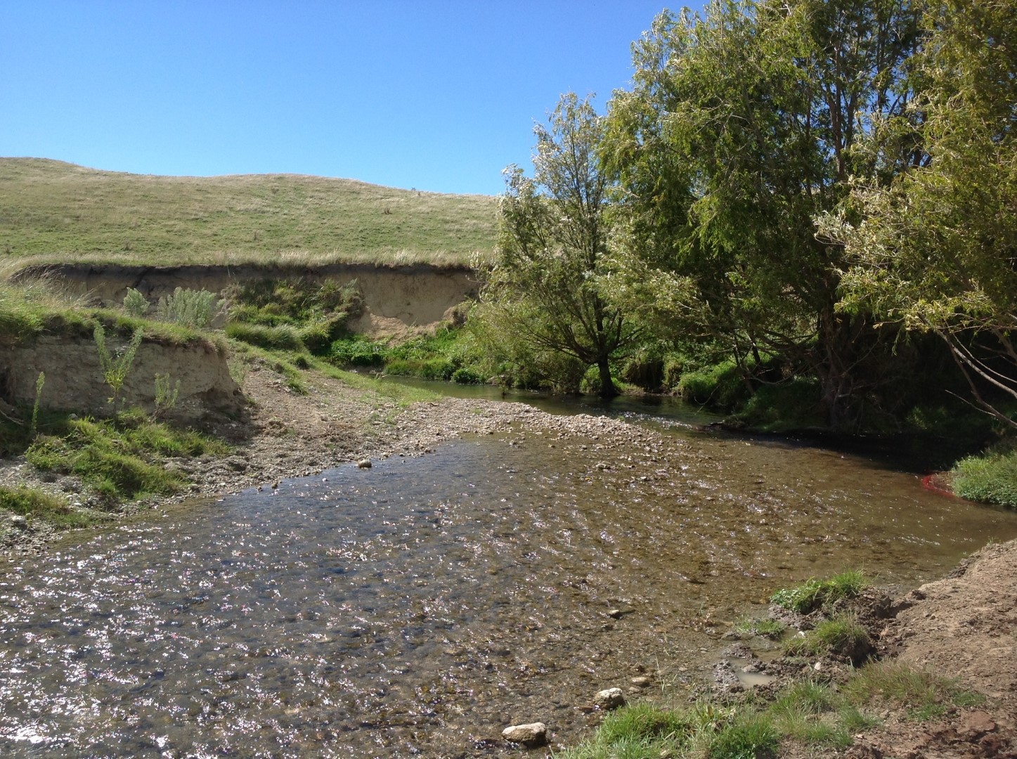 Pouhokio Stream