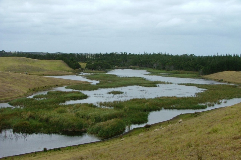 Lake Waihopo