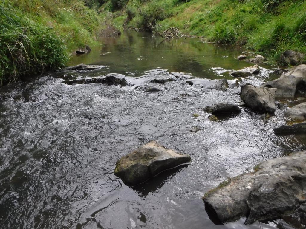Tangahoe River