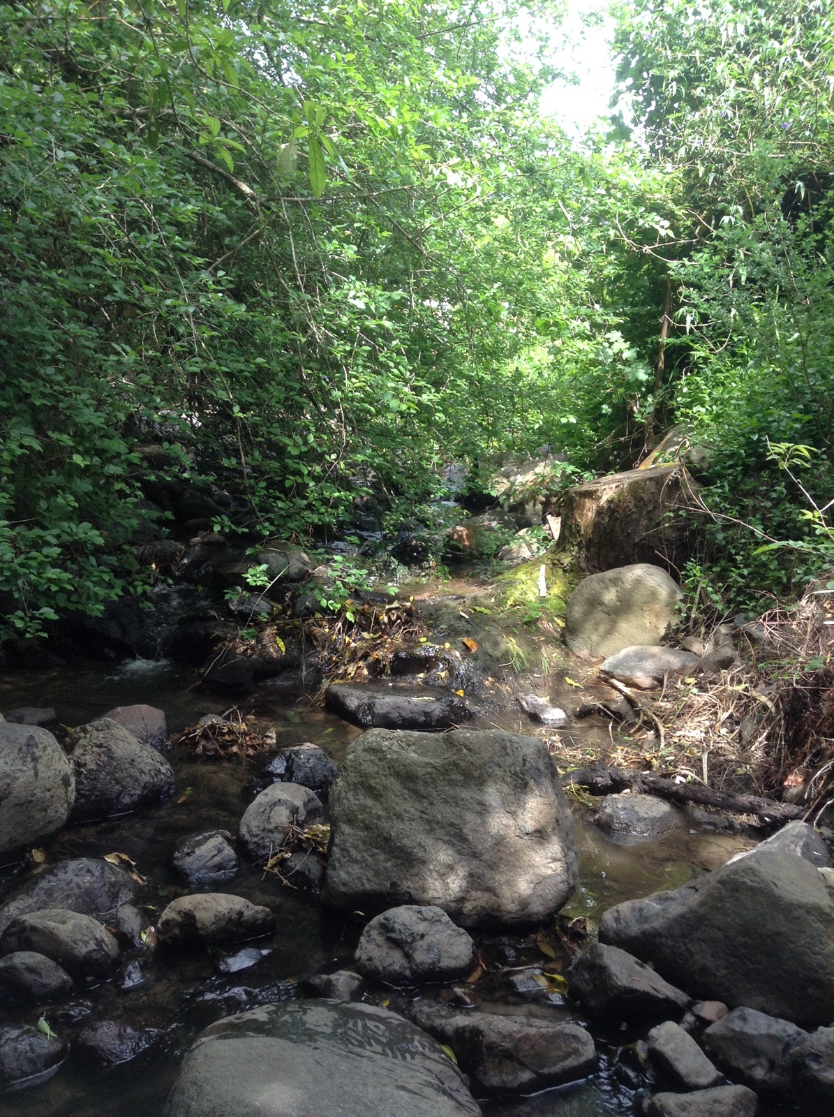 Balguerie Stream
