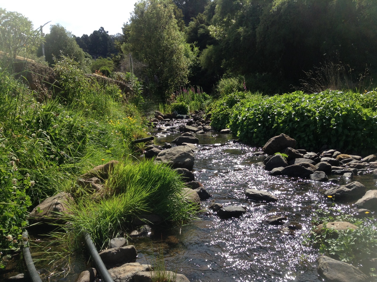 French Farm Stream