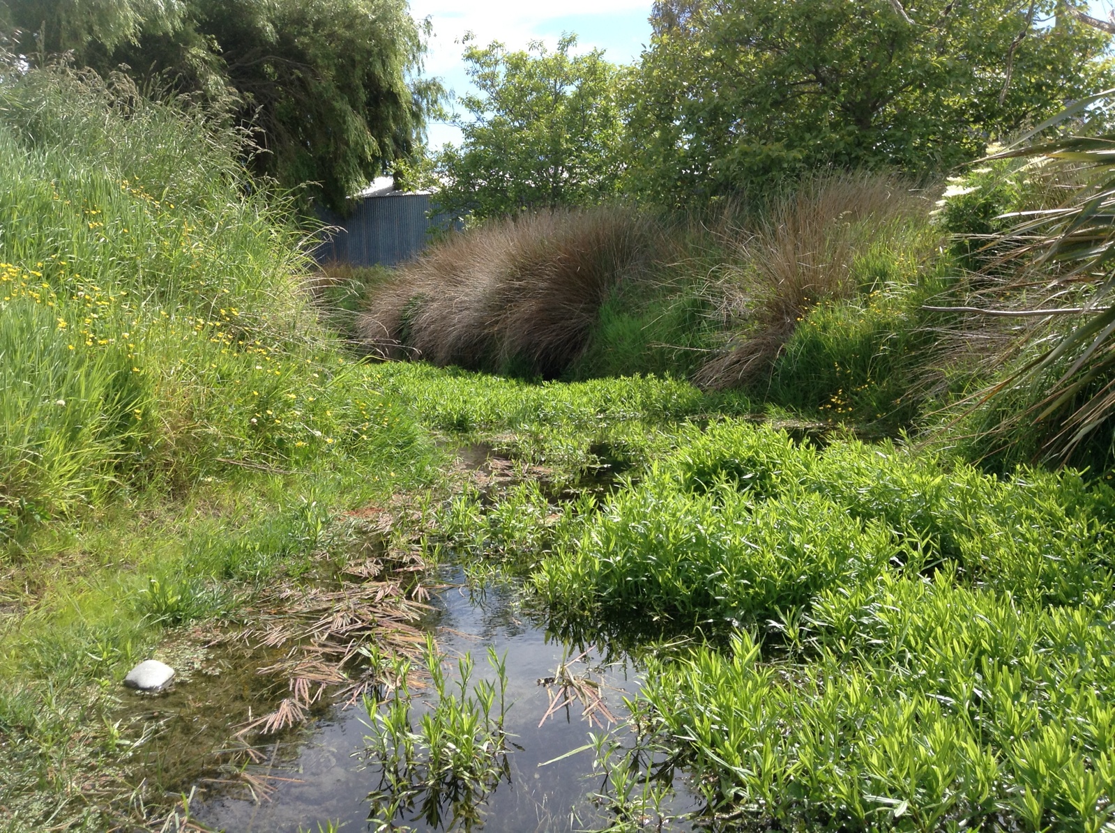 Jollies Brook