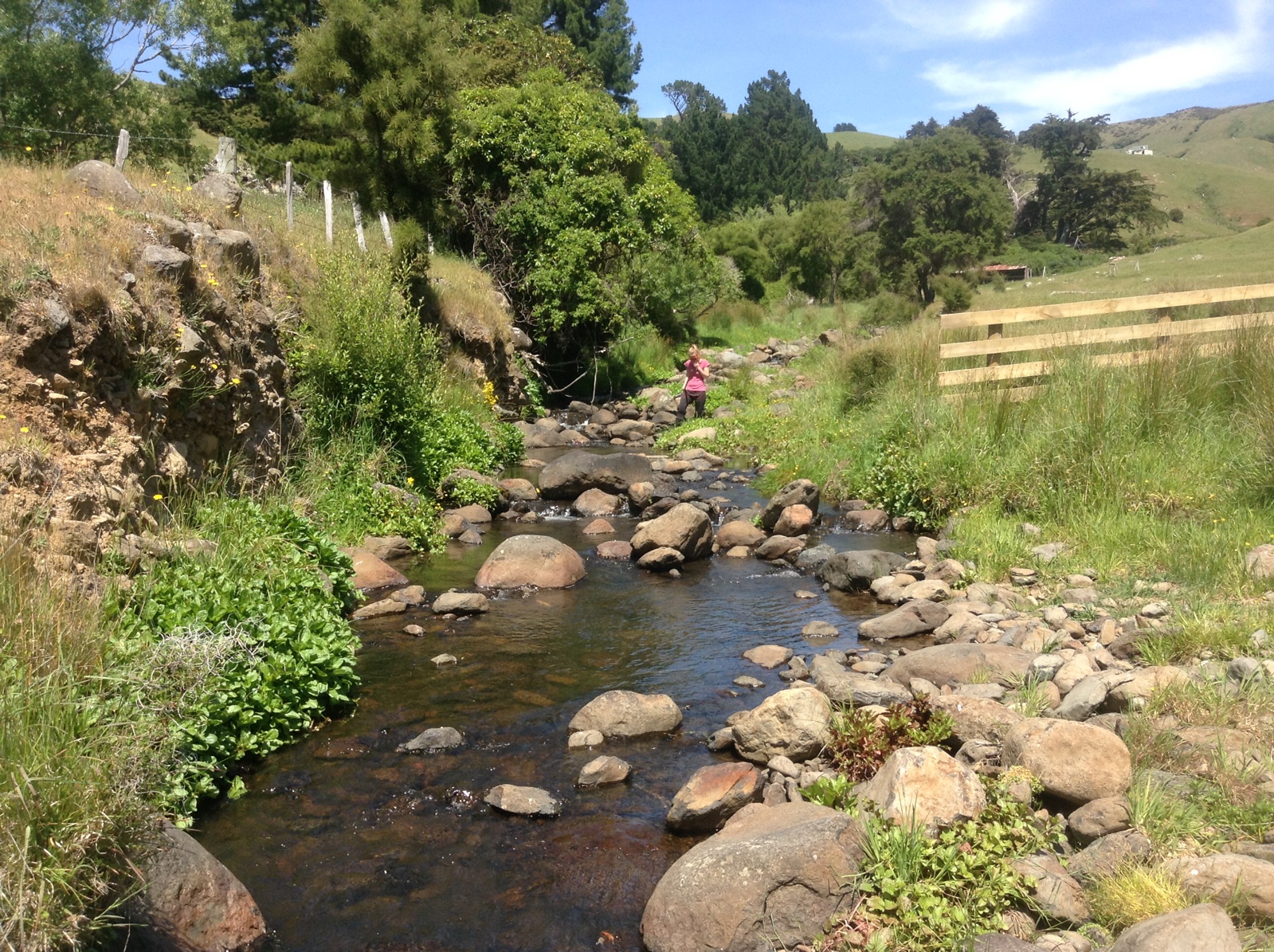 Okains Bay/Kawatea