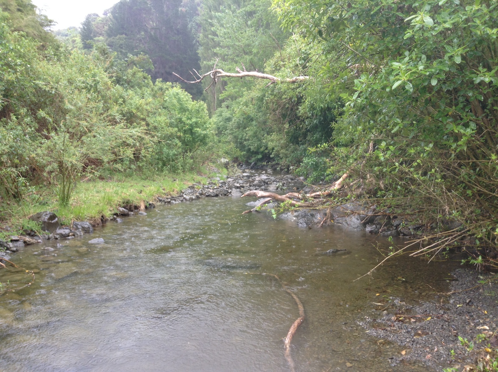 Ote Makura Stream