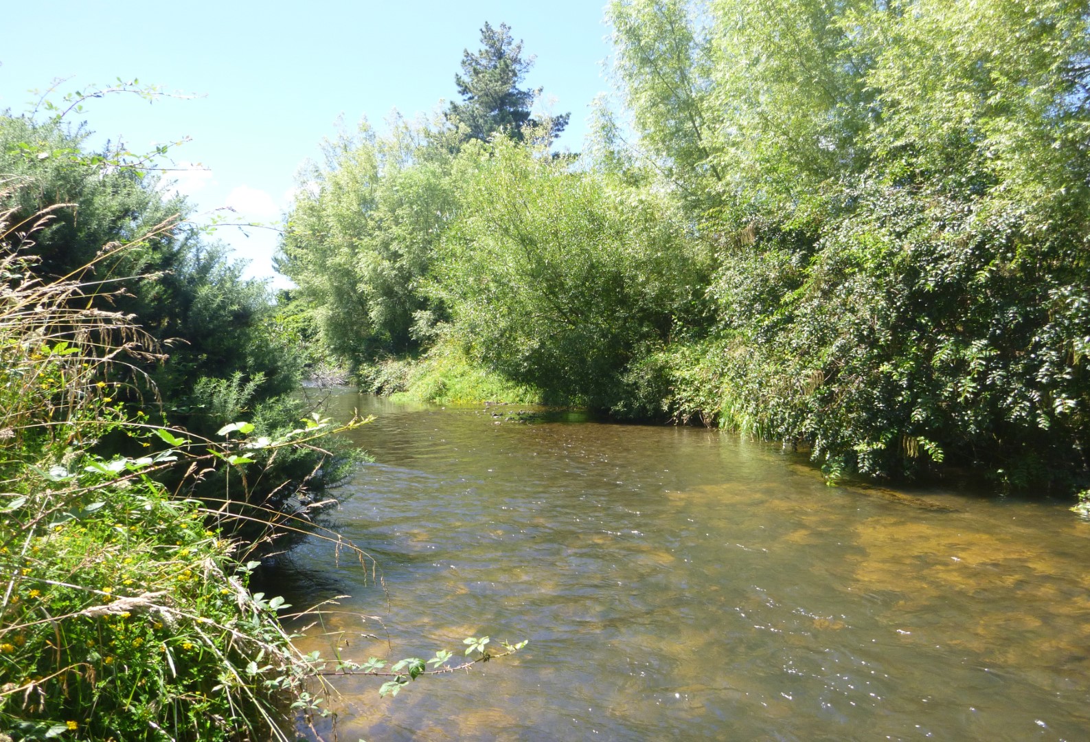 Marokopa River