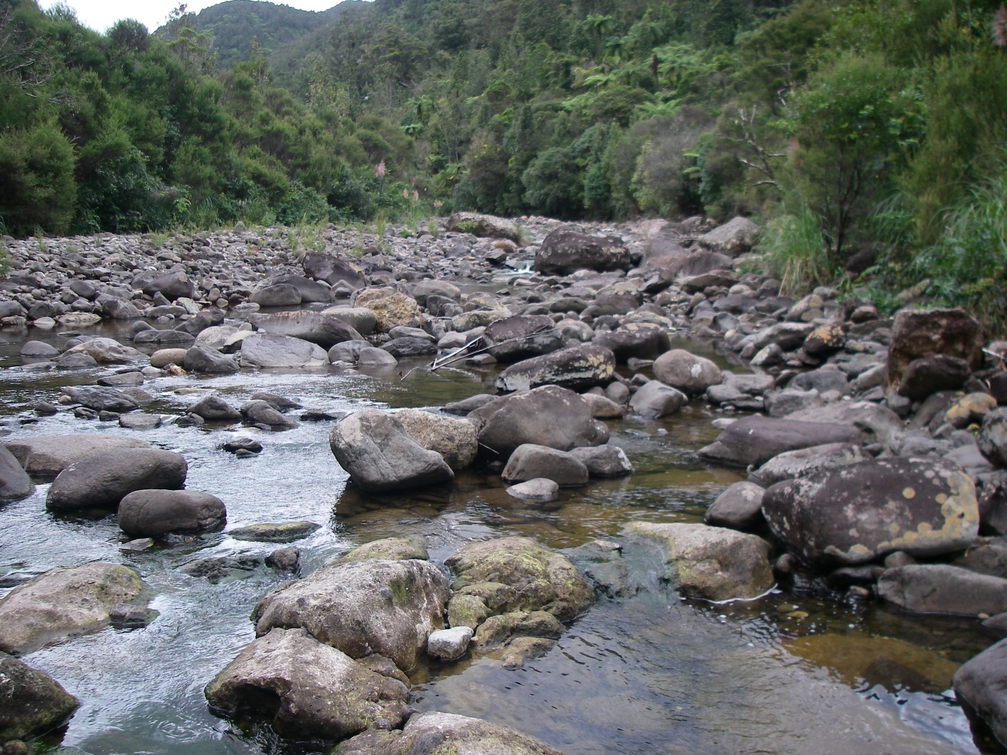 Kauaeranga River