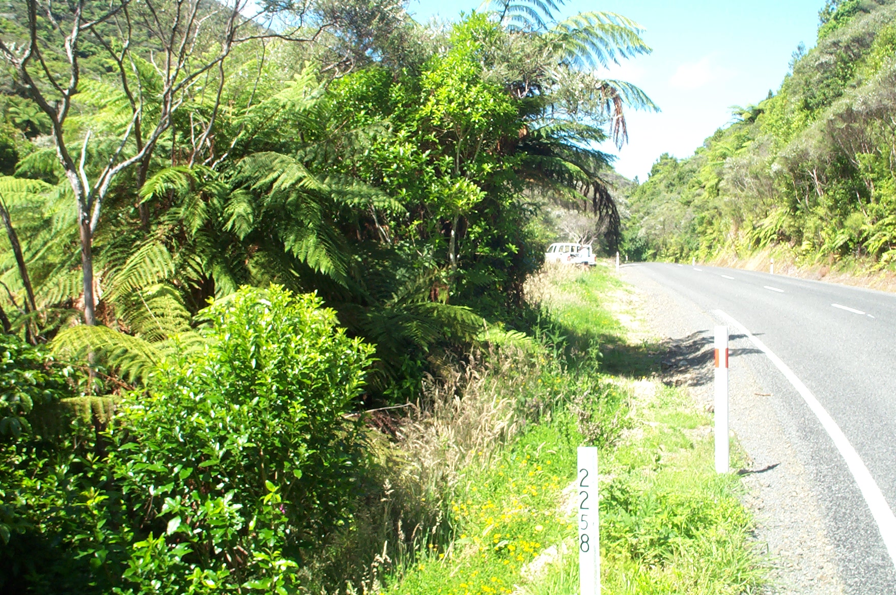 Waikawau River