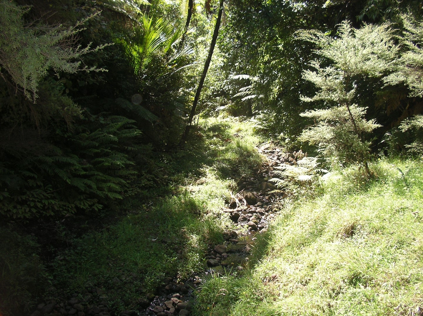 Te Rekereke Stream