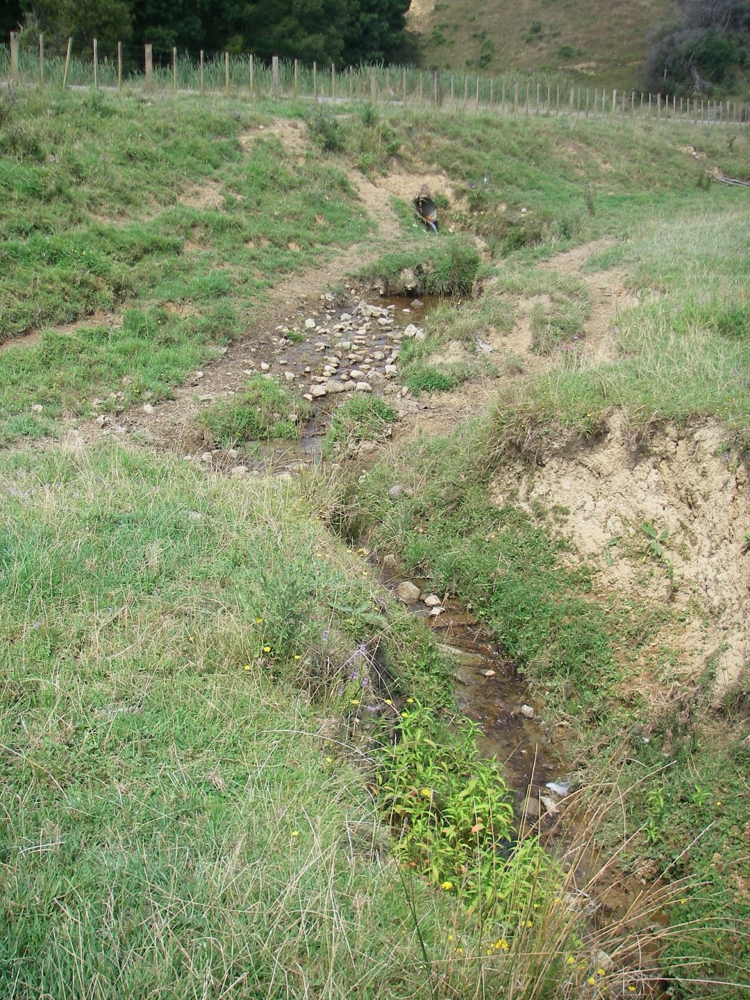 Kiritehere Stream